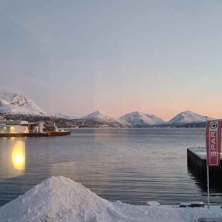 Vila Aurora Harbour House Lodingen Exteriér fotografie